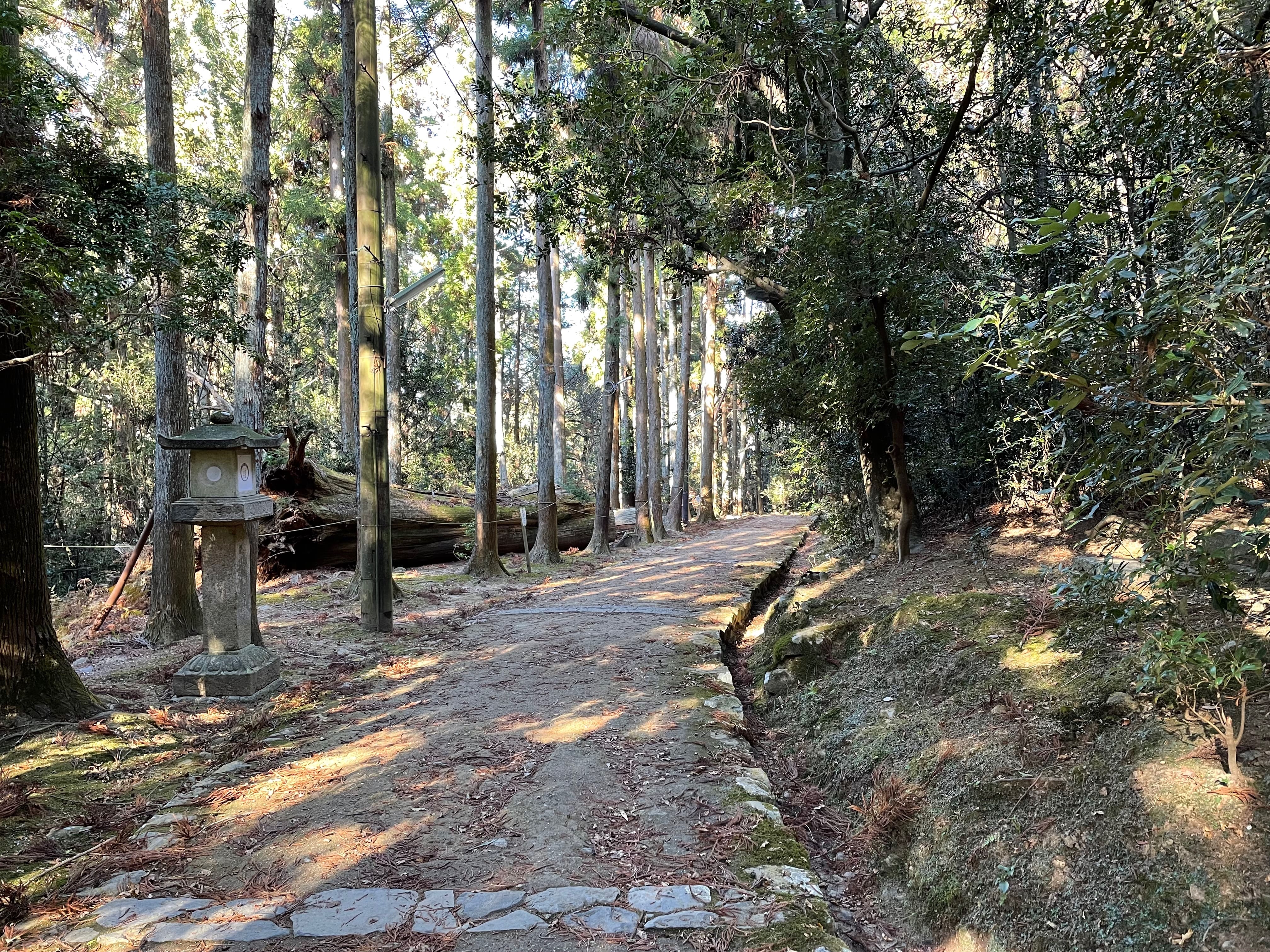 林间小道